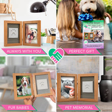 Luna Bean Dog Paw Print Kit