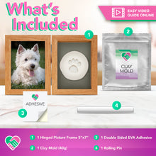 Luna Bean Dog Paw Print Kit