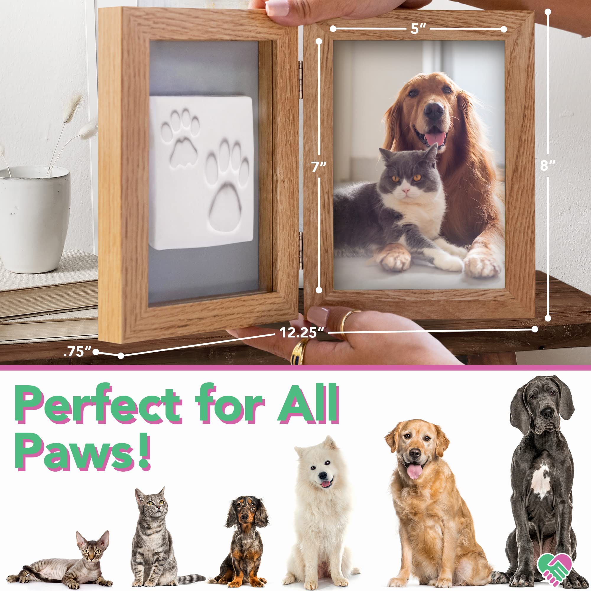 Paw Prints Dog Care Package - The Monday Box