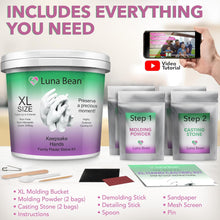 Luna Bean XL Family Hand Casting Kit – Extra-Large Hand Molding Kit for Families, Casts Up to 6 Hands – Plaster Craft Gift for Family, Parents, Grandparents and Keepsake Memorial