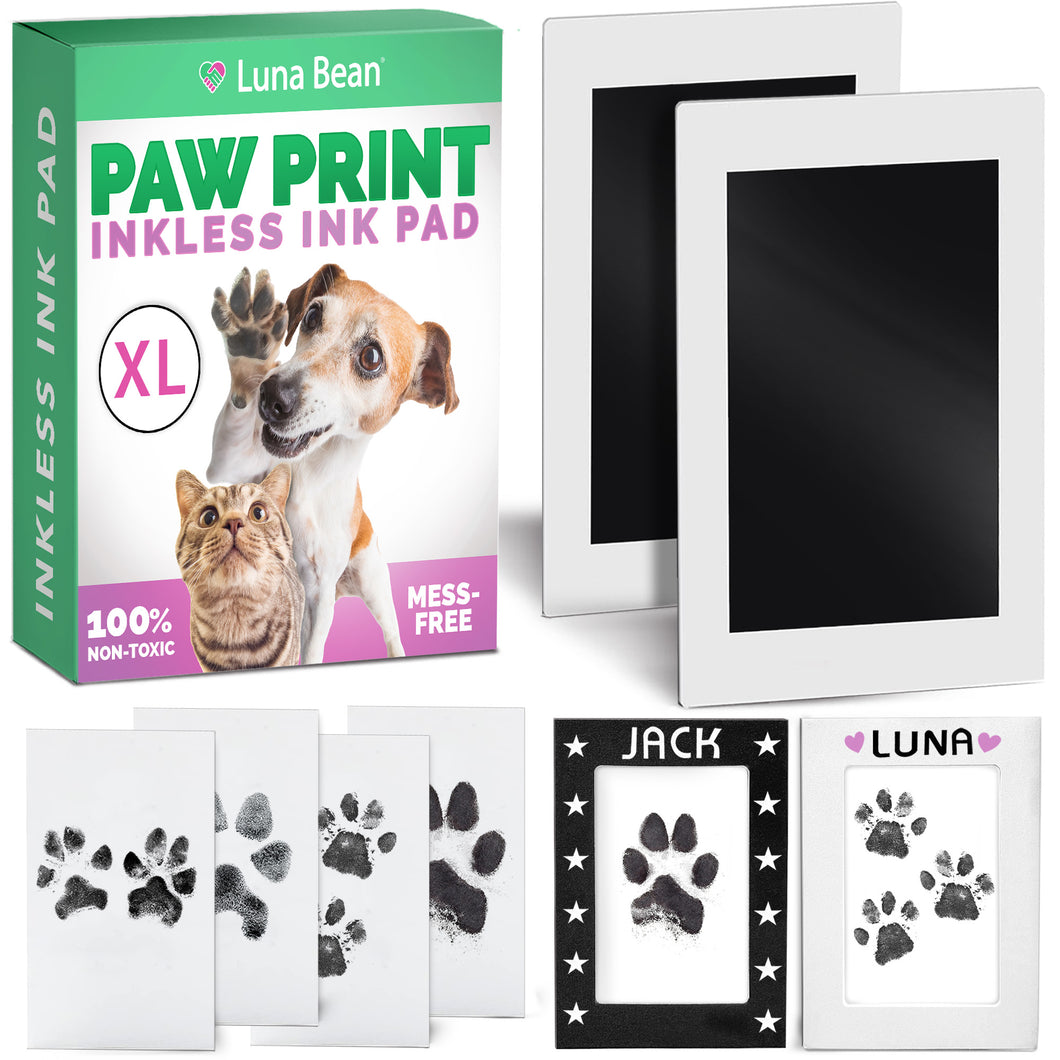 Dog paw print kit